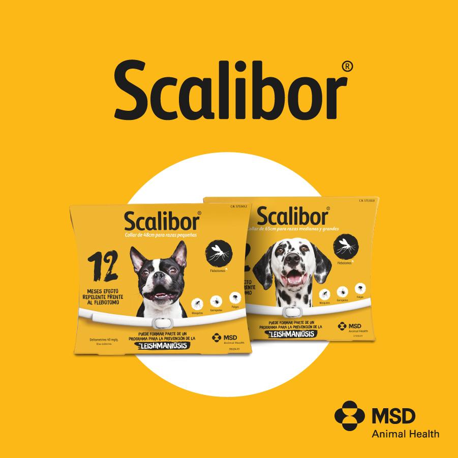 Miscota Scalibor Collare Antiparassitario per Cani Vendite Flash