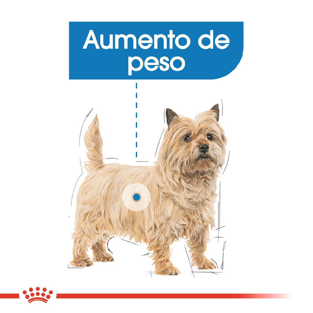 Miscota Royal Canin Cura leggera di tutte le taglie Cibo umido per tutte le taglie Italy