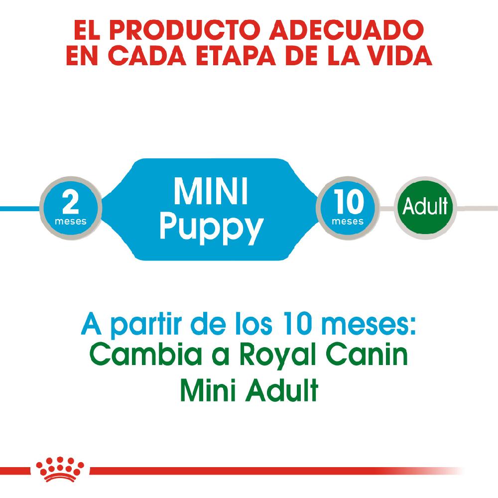 Miscota Royal Canin Comida Húmeda Mini Puppy para Perro Nuovo