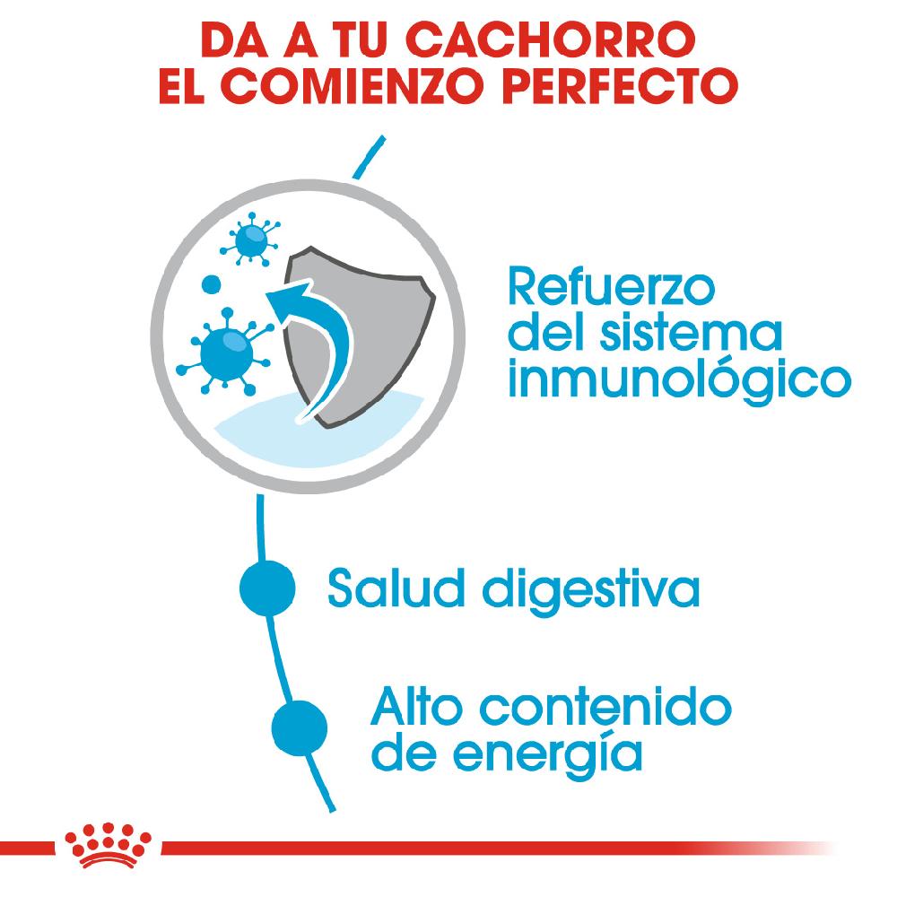 Miscota Royal Canin Comida Húmeda Mini Puppy para Perro Nuovo
