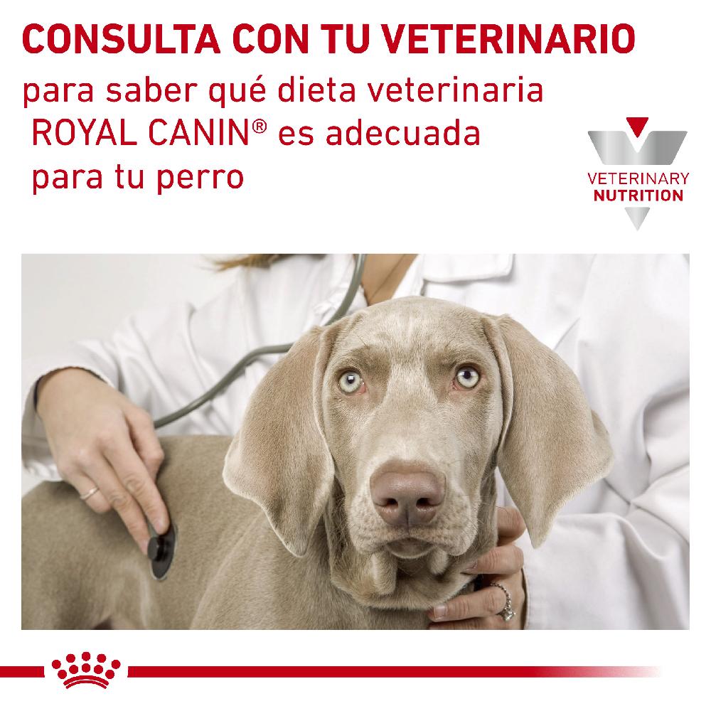 Miscota Royal Canin Cibo Umido per Cani Hypoallergenic Lattina Spedizione Gratuita