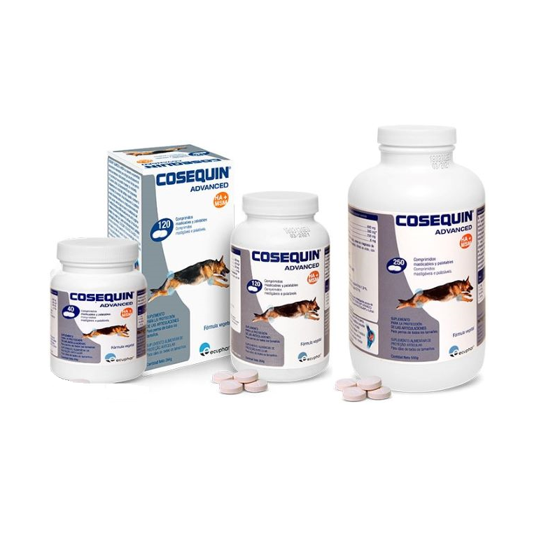 Miscota Cosequin Advanced Condroprotector Ds Msm Ha Qualità Garantita