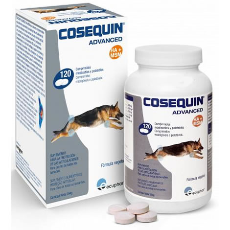 Miscota Cosequin Advanced Condroprotector Ds Msm Ha Qualità Garantita
