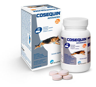 Miscota Cosequin Advanced Condroprotector Ds Msm Ha Qualità Garantita
