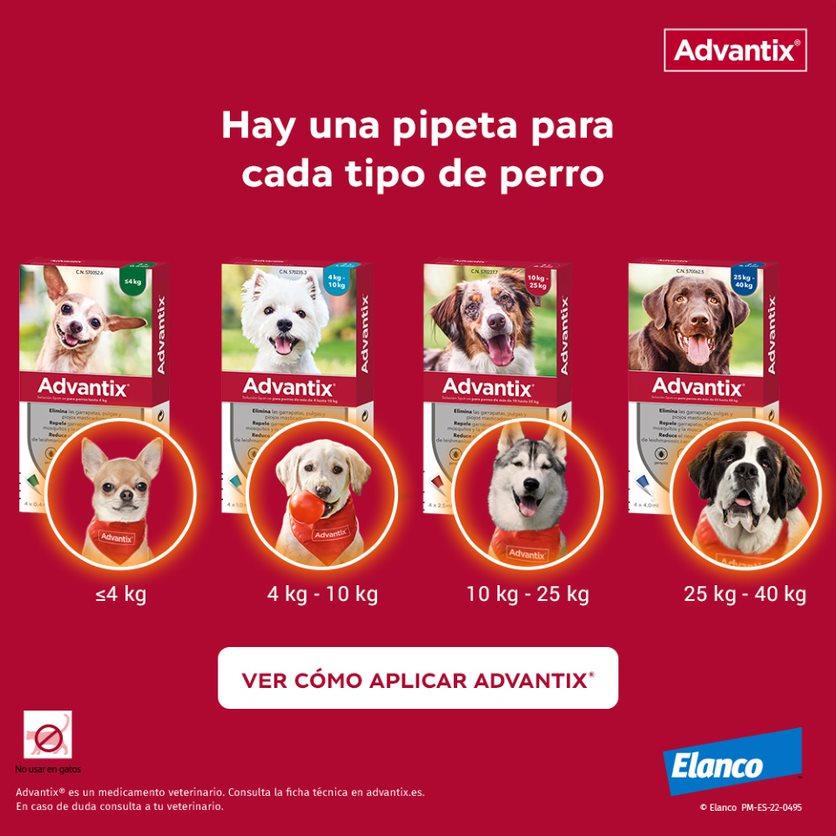 Miscota Advantix Pipetta Grande Taglia >25 Kg Presa