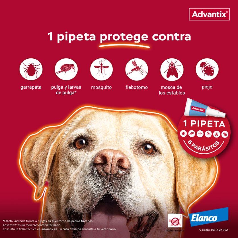 Miscota Advantix Pipetta Grande Taglia >25 Kg Presa