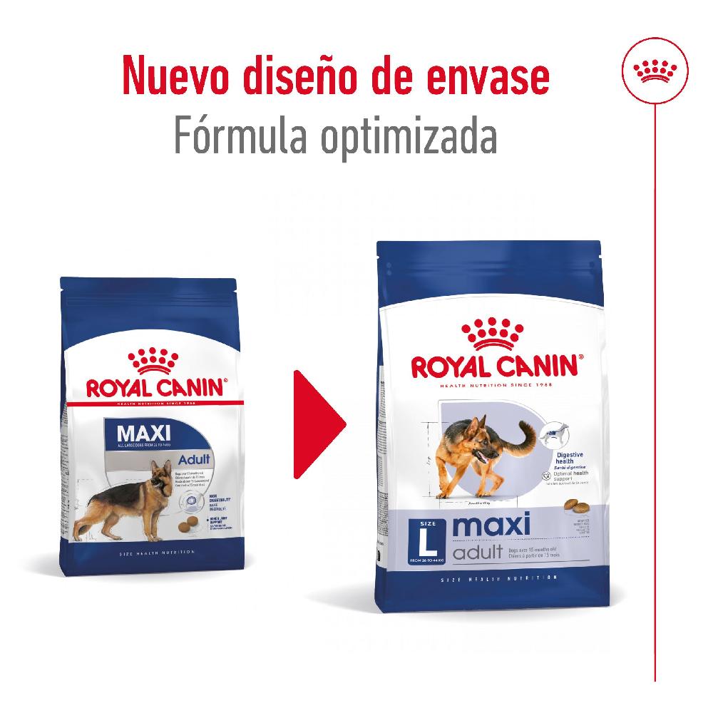 Miscota Royal Canin Maxi Adult Large Breed Dog Food per Cani Adulti di Razza Grande Offerta