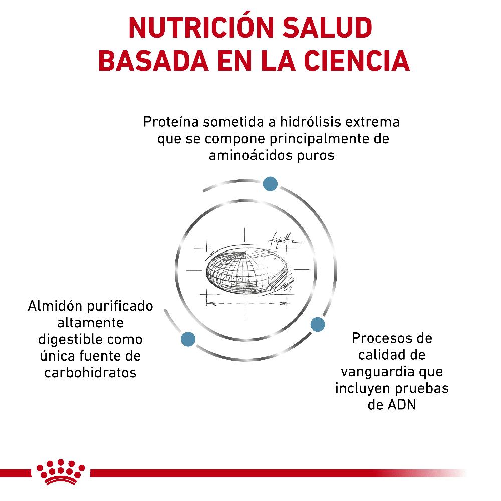 Miscota Royal Canin Cibo Secco per Cani Anallergenic Canine In Vendita