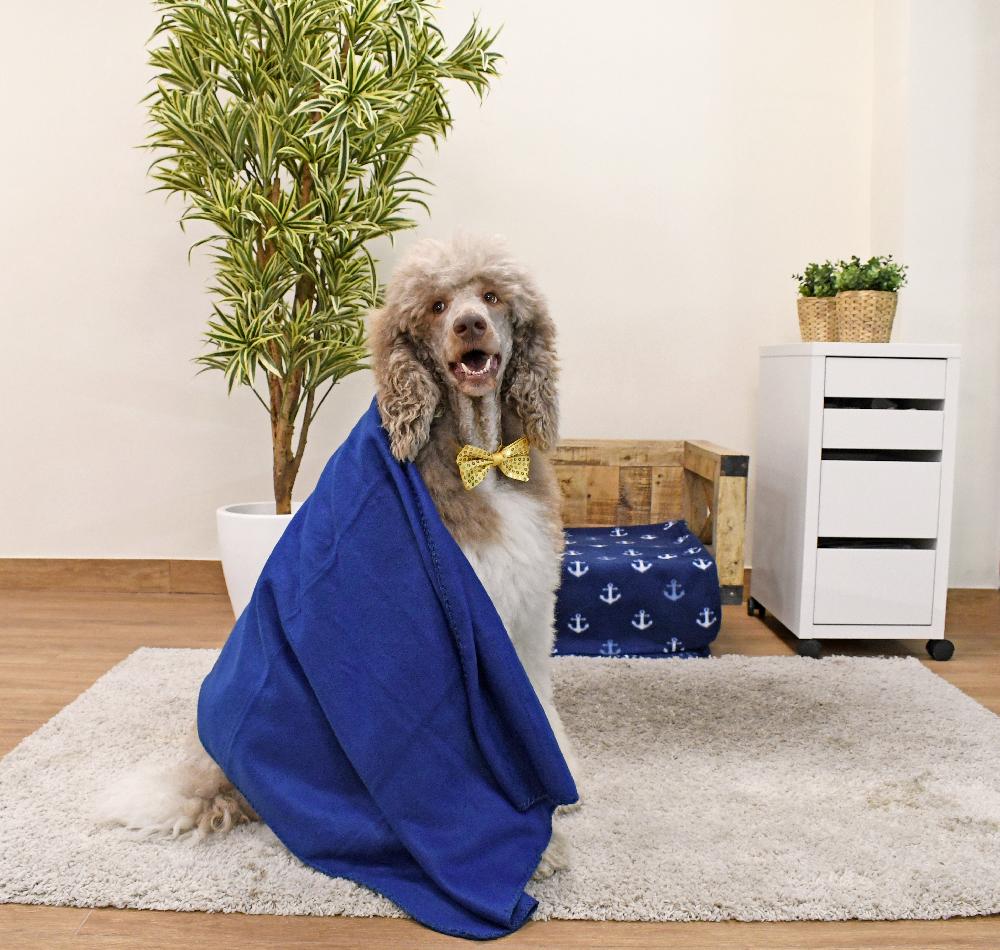Miscota Musqui Tappeto extra morbido per cani blu navy I Più Venduti