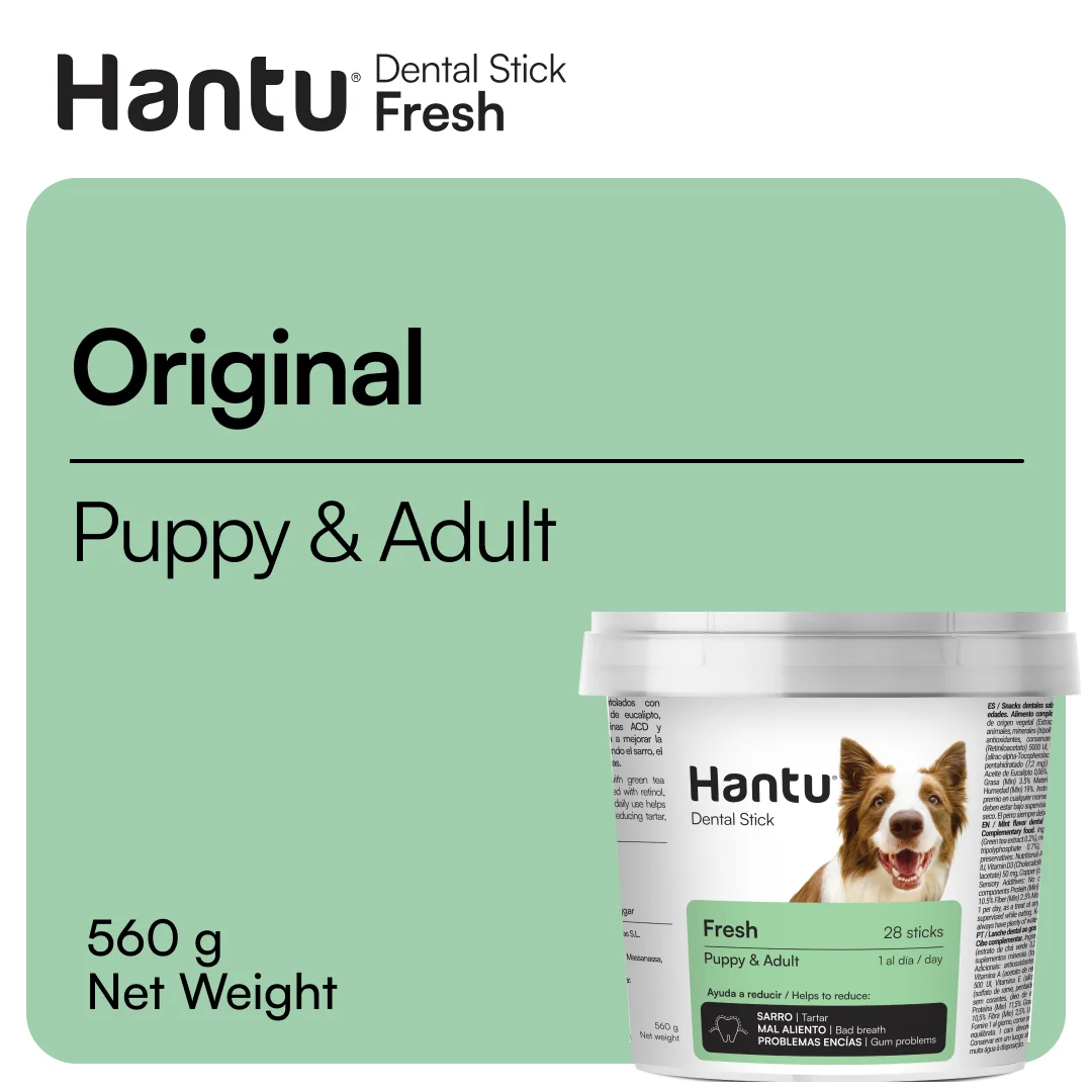 Miscota Hantu Stick dentale fresco per cuccioli e adulti Vendite Flash