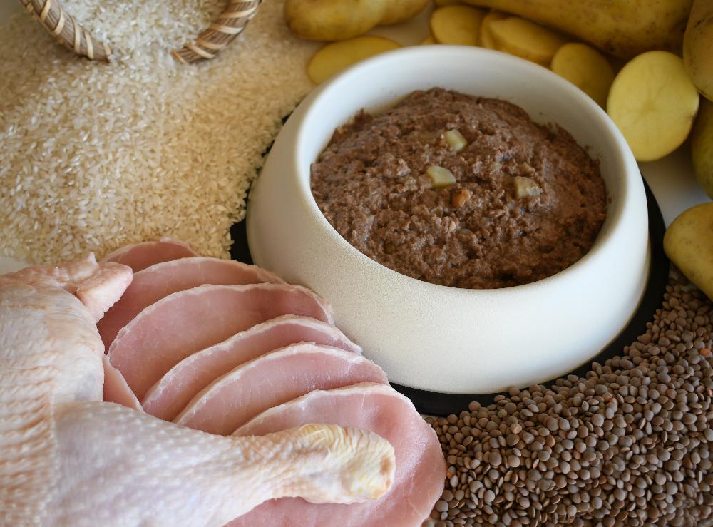 Miscota Hantu Alimento umido di maiale e pollo iberico con lenticchie e patate per cani adulti Italia