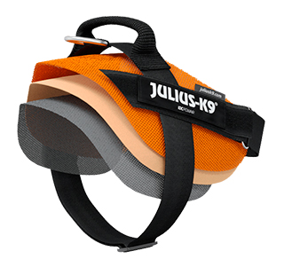 Miscota Julius K9 Imbracatura Powair Estate Azzurro Qualità Garantita