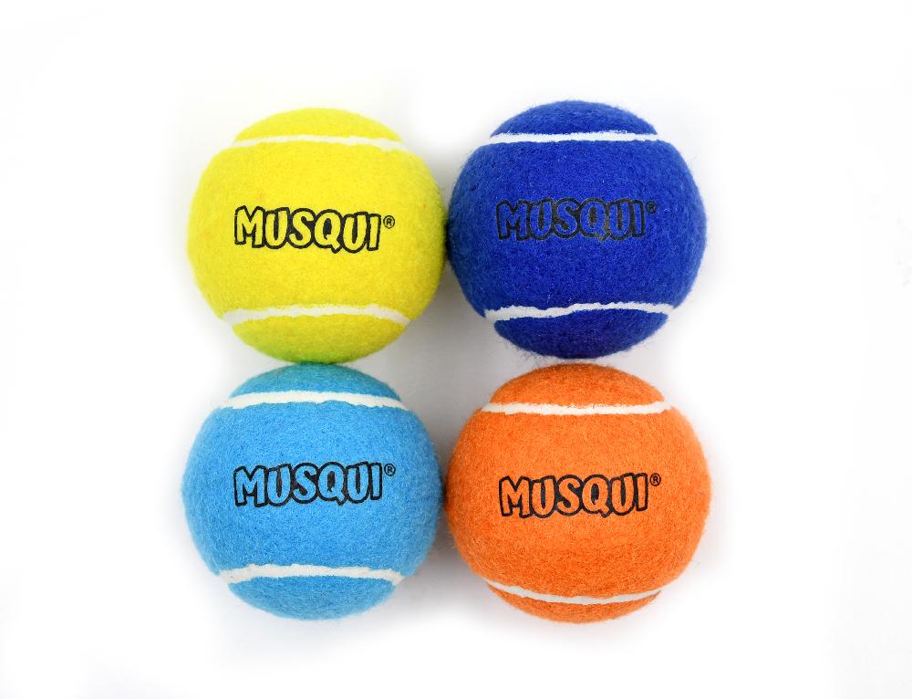 Miscota Musqui Pallina da tennis turchese per cani Convenienza