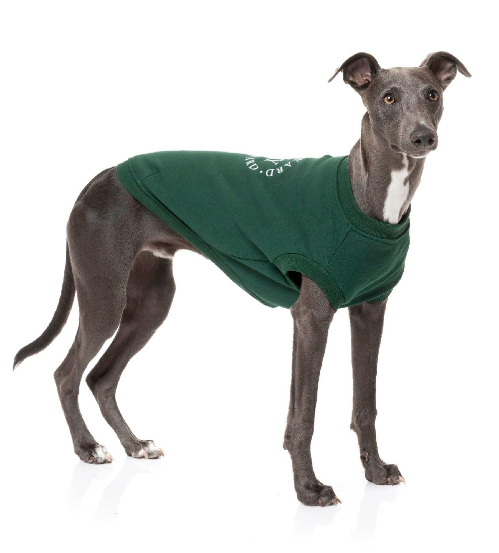 Miscota FuzzYard Maglione FY Verde Offerte