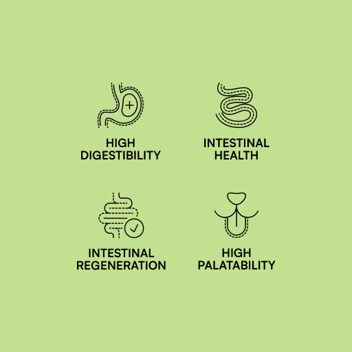 Miscota Hantu Specific Diet Gastrointestinal Hotsell