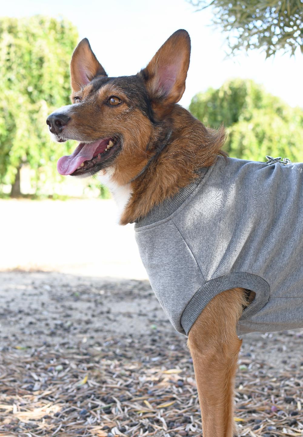Miscota FuzzYard Maglione FY Grigio I Più Venduti