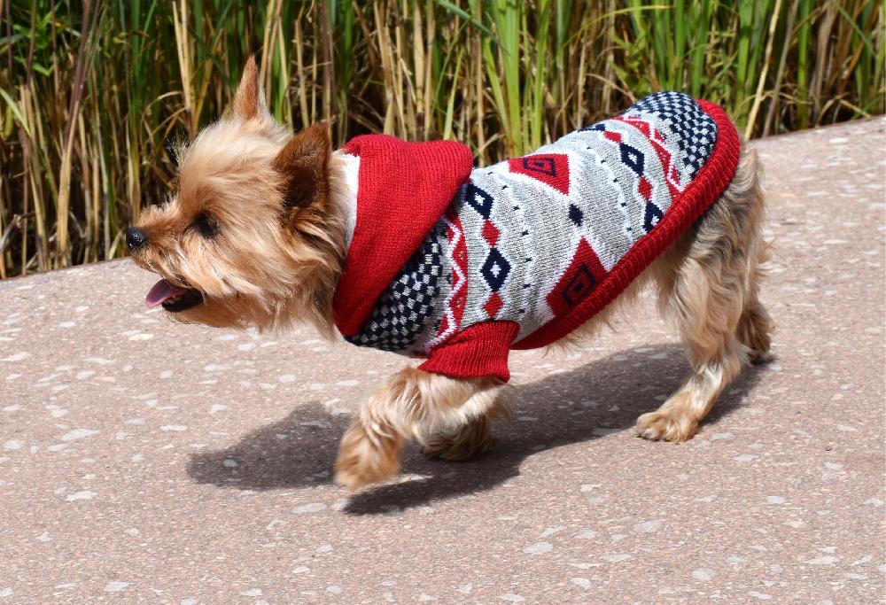 Miscota Nayeco Sweater Islandia for dogs Nuovo