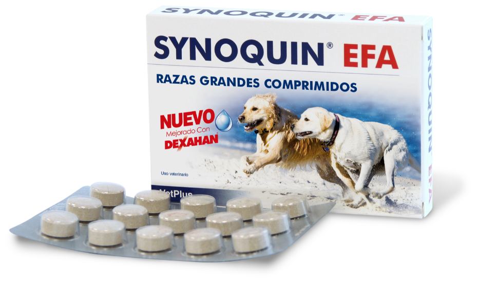 Miscota VetPlus Synoquin Joint Chondroprotector per cani di grossa taglia in compresse Pezzi Unici