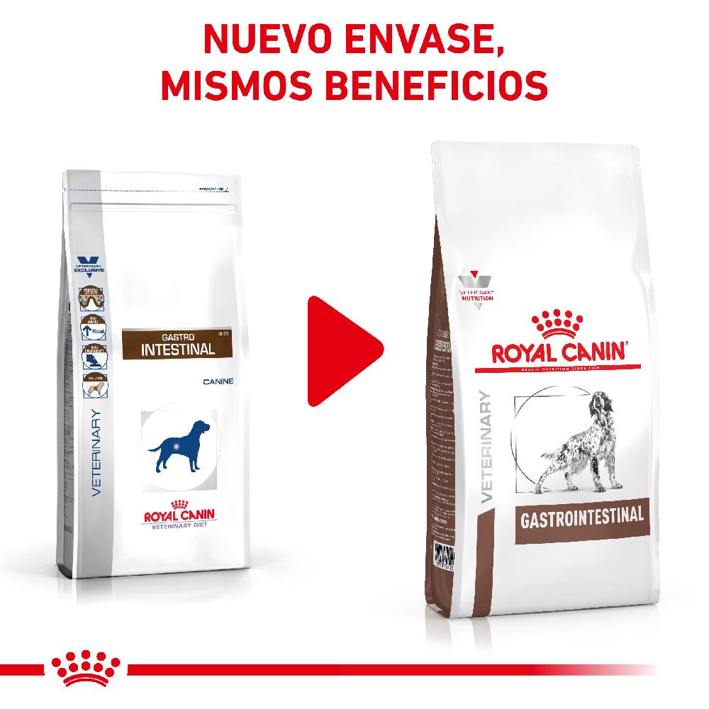 Miscota Royal Canin Cibo Secco per Cani Gastro Intestinal Canine Adult Acquista Ora