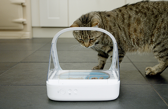 Miscota Sure Petcare Surefeed Alimentatore con Microchip Shopping Online
