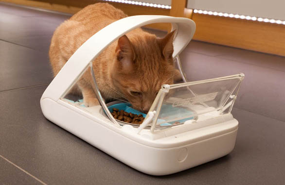 Miscota Sure Petcare Surefeed Alimentatore con Microchip Shopping Online