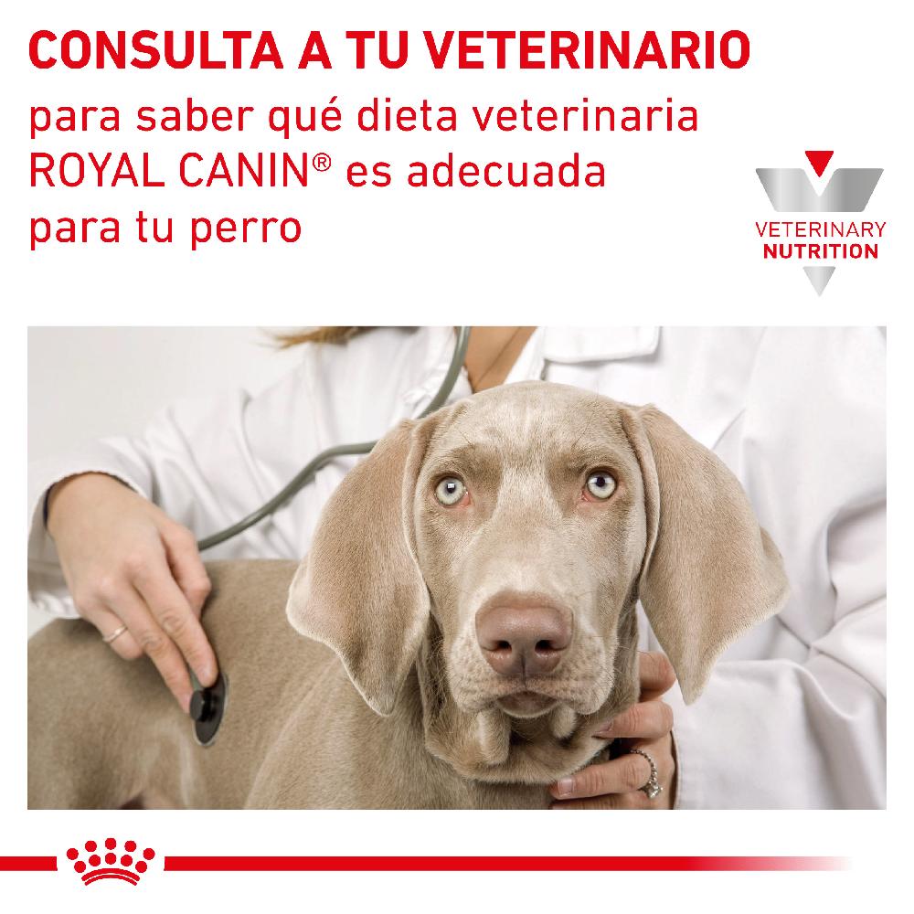 Miscota Pacco 12 Royal Canin Cibo Umido per Cani Gastro Intestinal Lattina Outlet