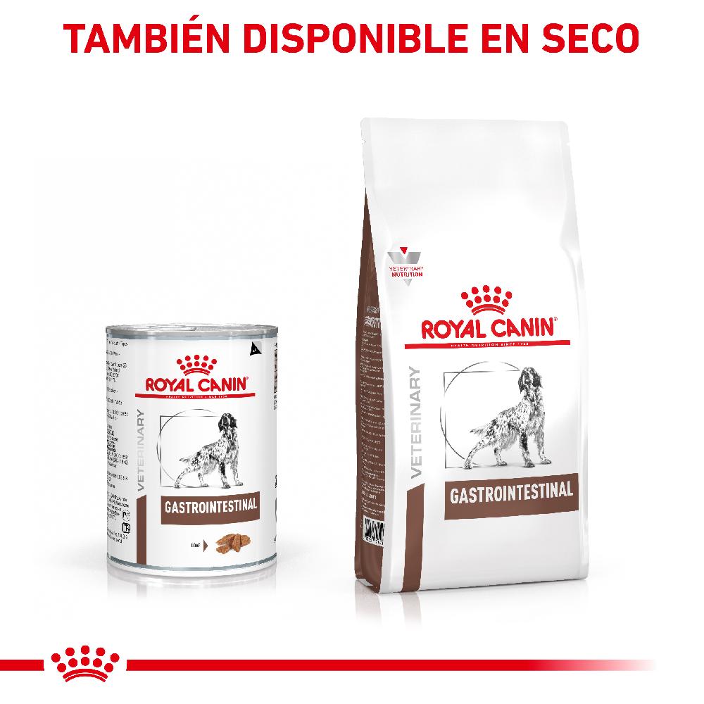 Miscota Pacco 12 Royal Canin Cibo Umido per Cani Gastro Intestinal Lattina Outlet