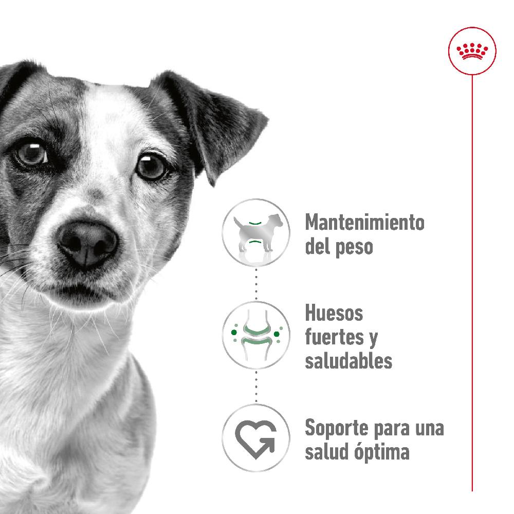 Miscota Royal Canin Mini Adult Cani adulti di piccola taglia Hotsell