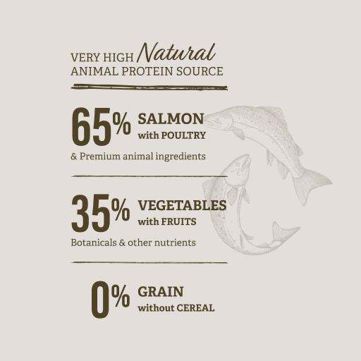 Miscota Traveness Ricetta di salmone sensibile senza cereali per alimenti naturali per cani Vendita Economica