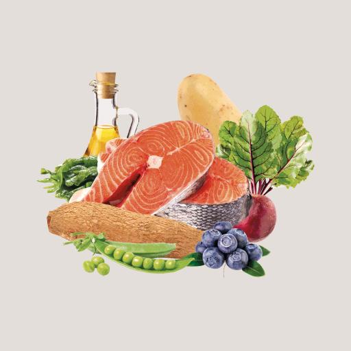 Miscota Traveness Ricetta di salmone sensibile senza cereali per alimenti naturali per cani Vendita Economica