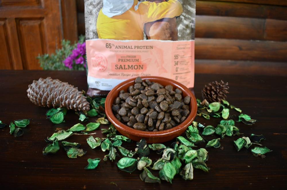 Miscota Traveness Ricetta di salmone sensibile senza cereali per alimenti naturali per cani Vendita Economica