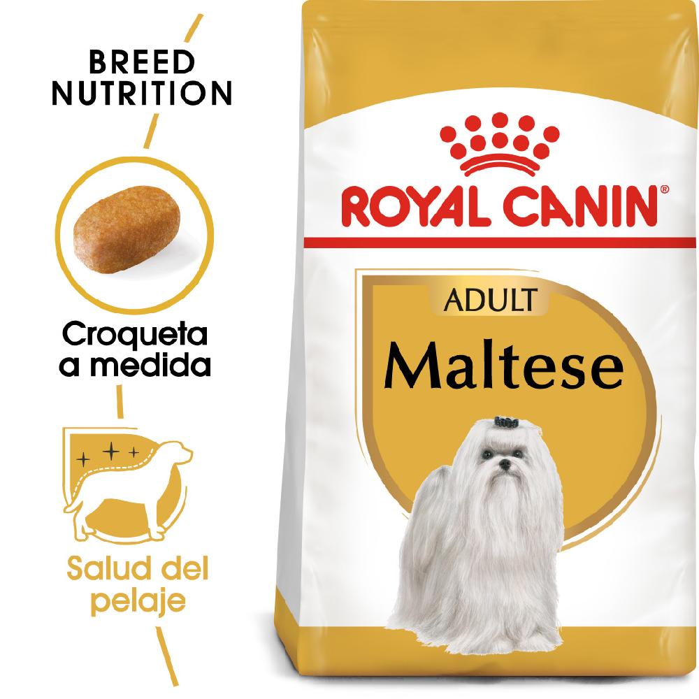 Miscota Royal Canin Maltese Adult Cibo per Cani Adulti Maltes