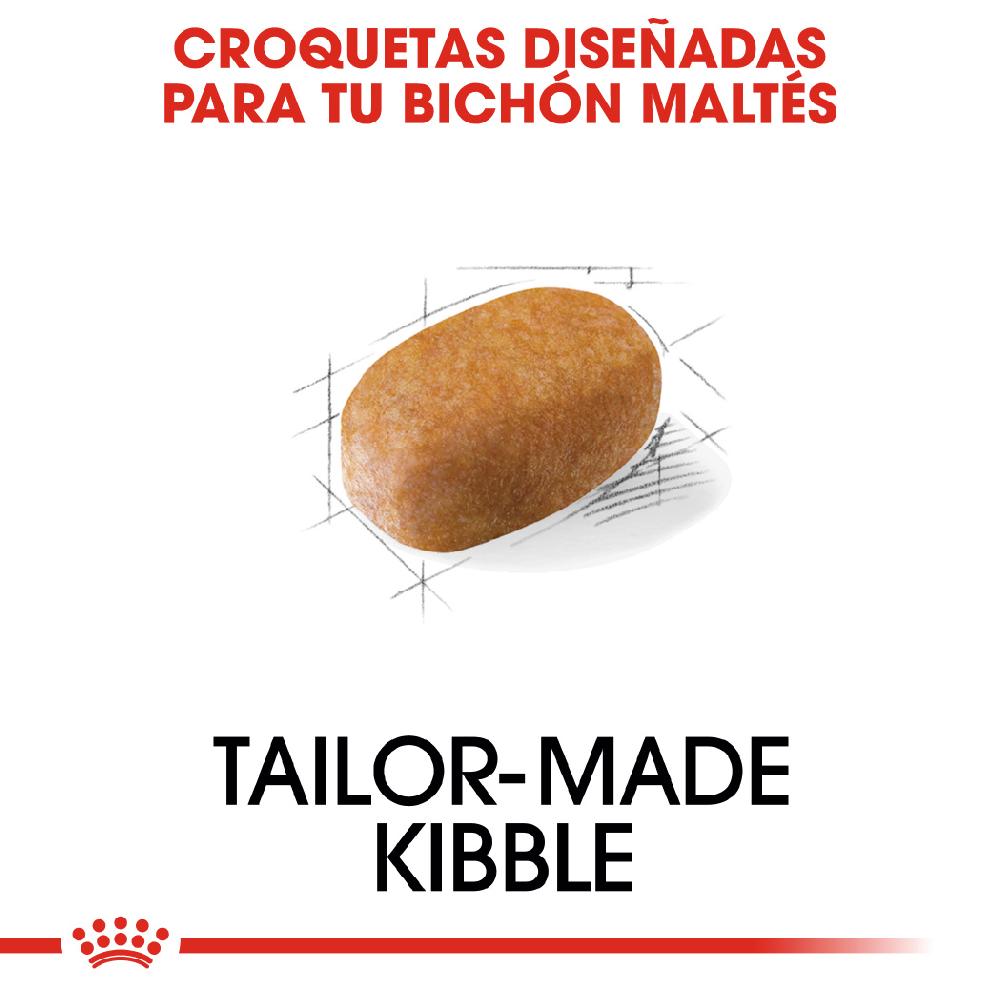 Miscota Royal Canin Maltese Adult Cibo per Cani Adulti Maltes Negozio