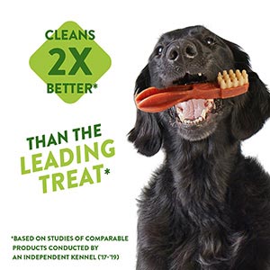 Miscota Whimzees Snack Dentale Per Cani A Forma Di Spazzola In Saldo