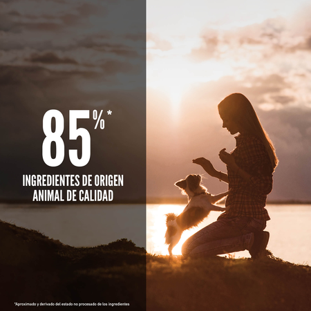Miscota Orijen Small Breed Affare Del Giorno