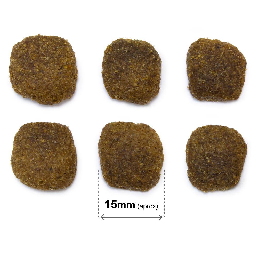 Miscota Arquivet Cane Original Adult Original Adult Salmone e Riso Prezzo Ridotto