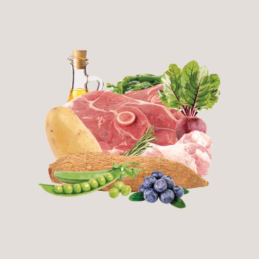 Miscota Traveness Ricetta di agnello alimento naturale senza cereali per cani Convenienza