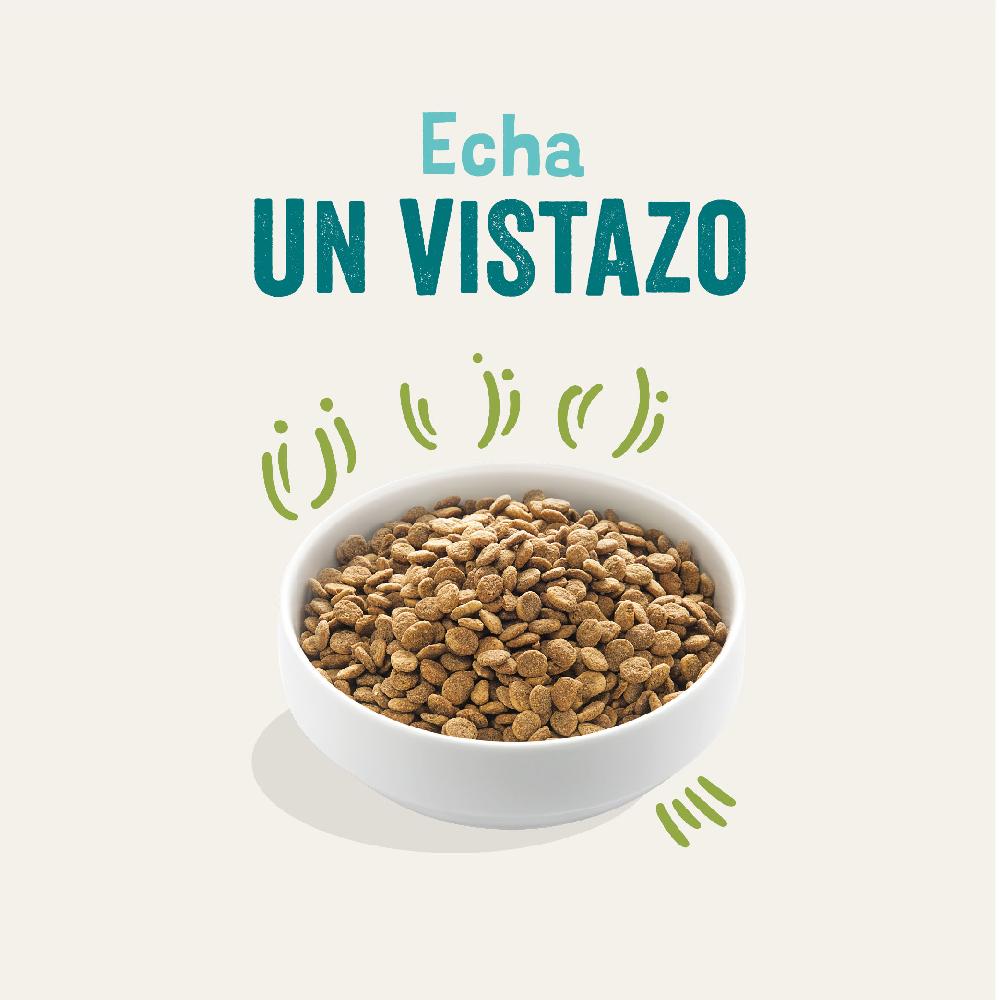Miscota Edgard & Cooper Adult Senza Cereali Con Agnello Fresco Presa