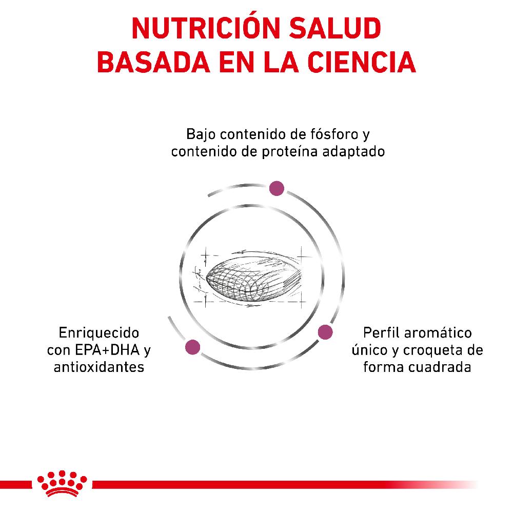 Miscota Royal Canin Cibo Secco per Cani Renal Canine Offerta