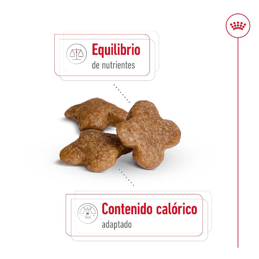 Miscota Royal Canin Mini Adult 8+Cibo per cani anziani di piccola taglia Offerte