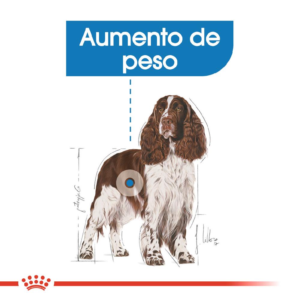 Miscota Royal Canin Medium Light Weight Care controllo del peso taglia media Negozio
