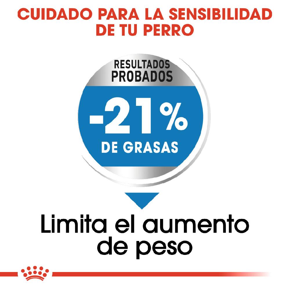 Miscota Royal Canin Medium Light Weight Care controllo del peso taglia media Negozio