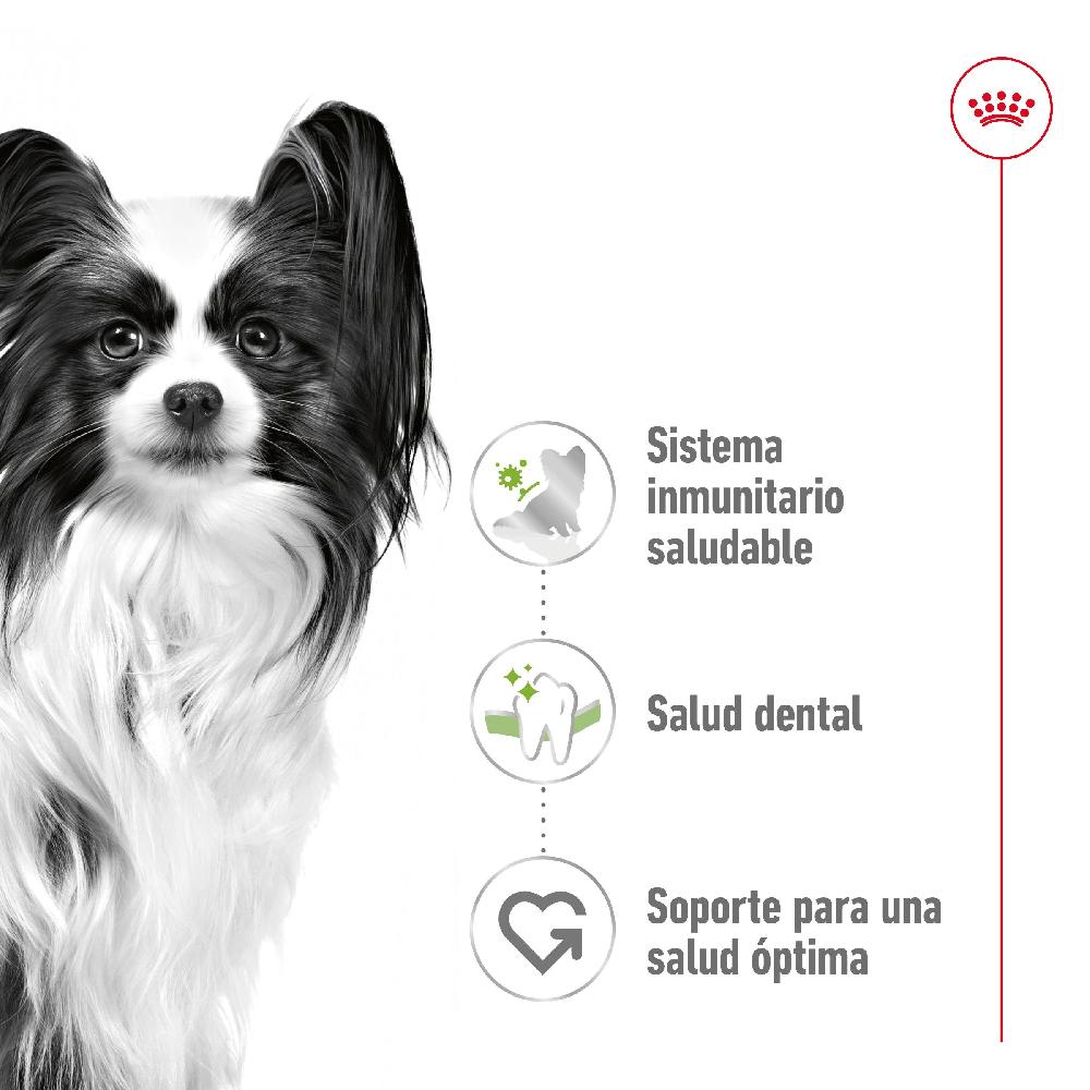 Miscota Royal Canin X-Small Adult per cani adulti di razza in miniatura Nuova