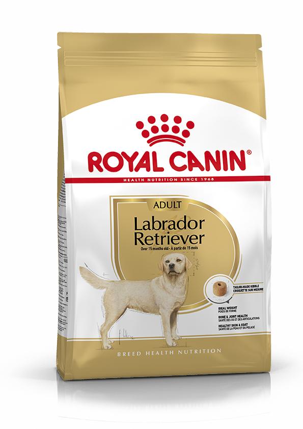 Miscota Royal Canin Labrador Retriever Adult Cibo per cani di Razza Pura Italy
