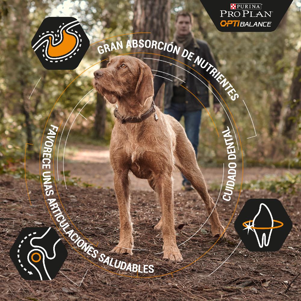 Miscota Purina Pro Plan Optibalance Adulti Small/Mini Chicken Vendita