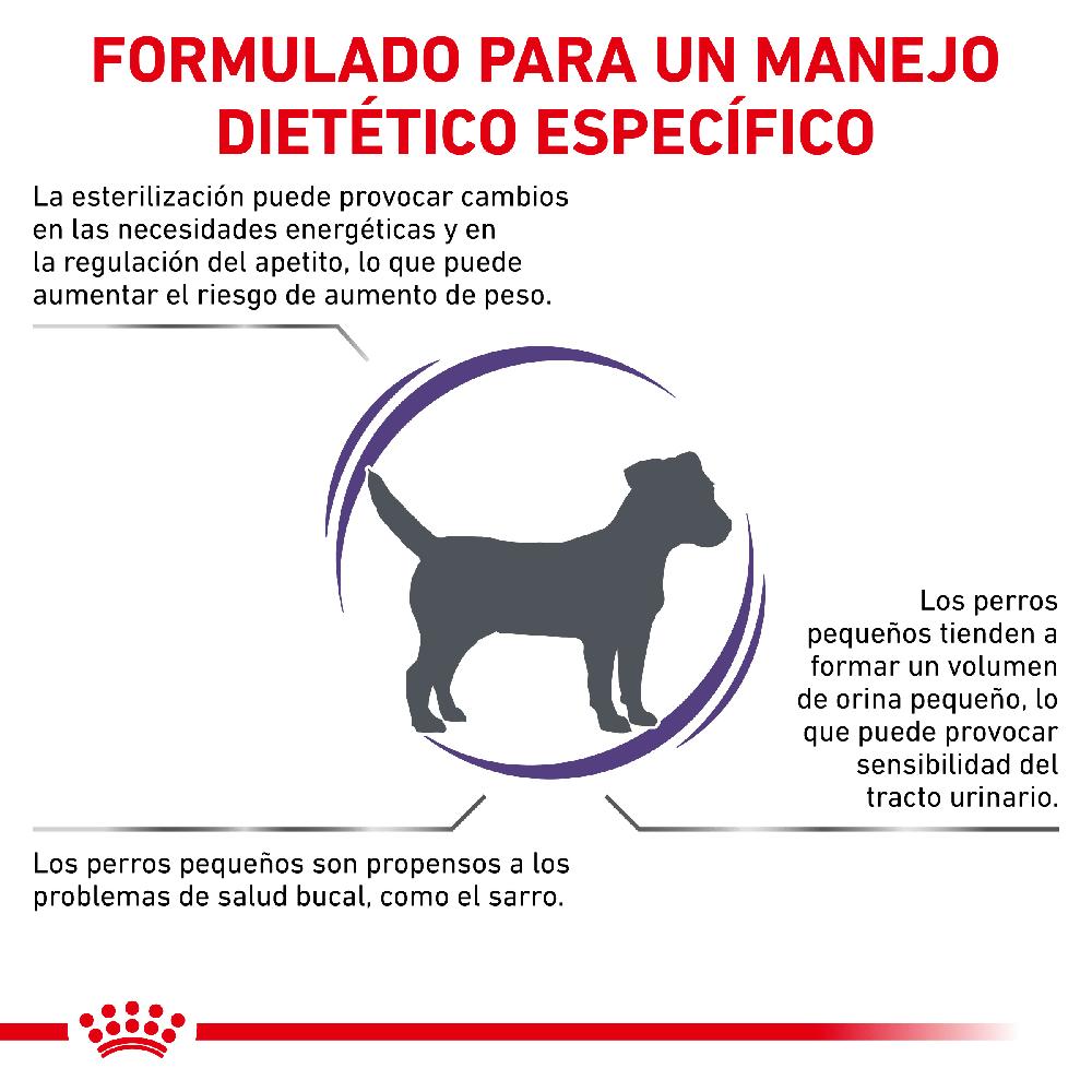 Miscota Royal Canin Cibo Secco per Cani Neutered Adult Small Dog Pezzi Unici