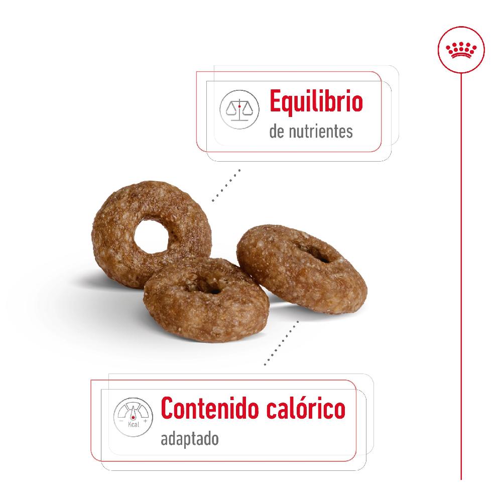 Miscota Royal Canin Cibo Secco per Cani Mini Ageing +12 Duty-free