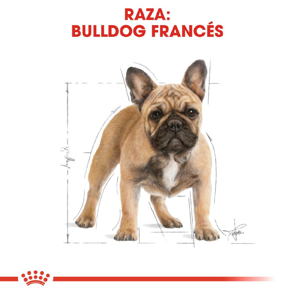 Miscota Royal Canin French Bulldog Adult Cibo per Cani Adulti Bulldog Francese Acquista Ora