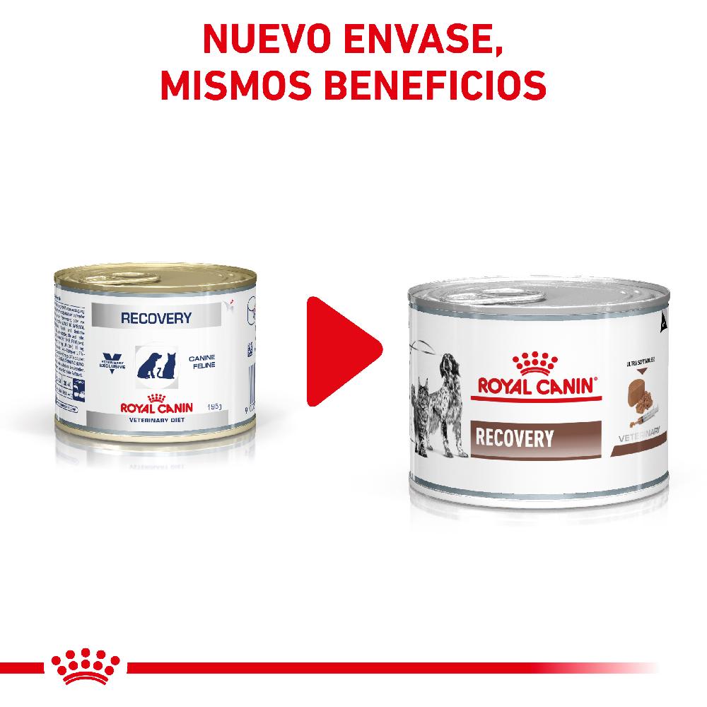 Miscota Pacco 12 Royal Canin Roya Canin Cibo Umido per Cani e Gatti Lattina Recovery Italia