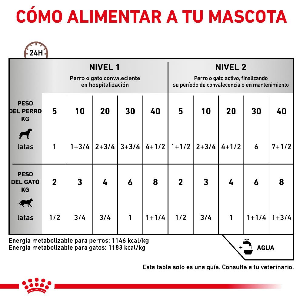 Miscota Pacco 12 Royal Canin Roya Canin Cibo Umido per Cani e Gatti Lattina Recovery Italia